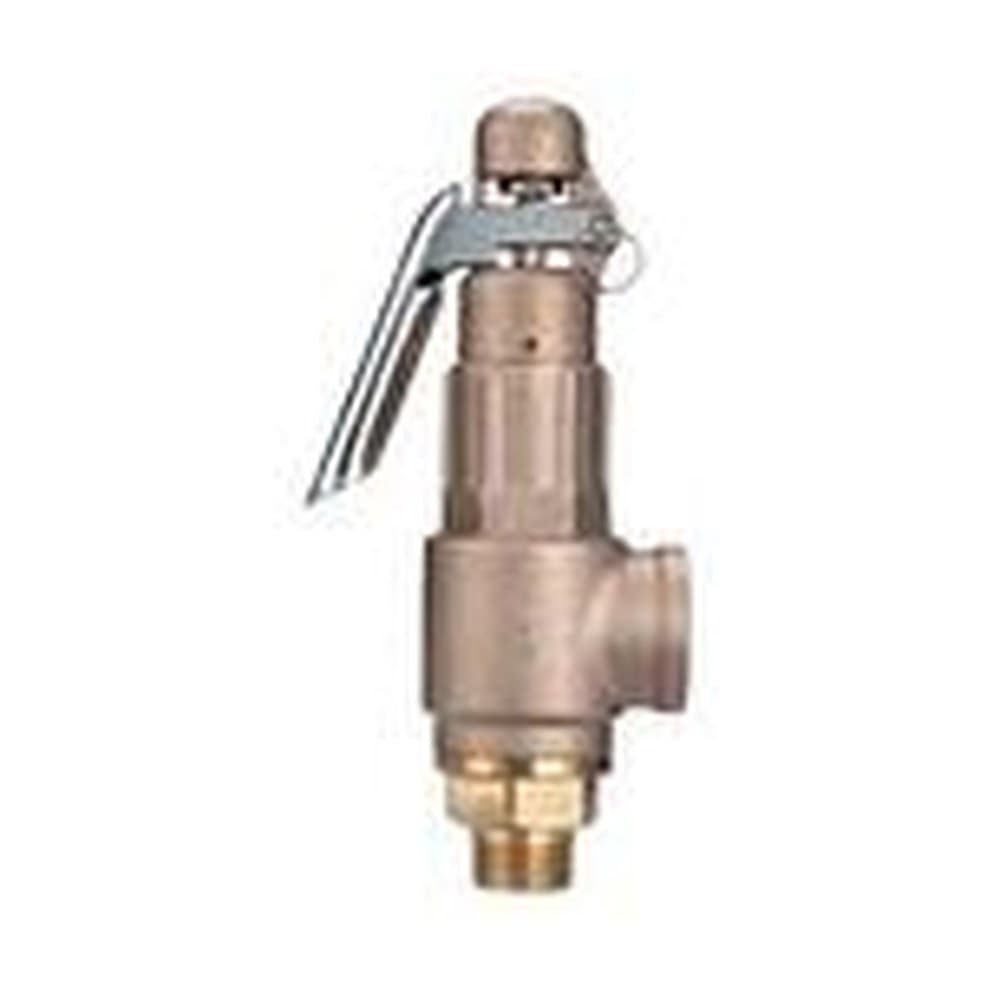 Safety Relief Valve