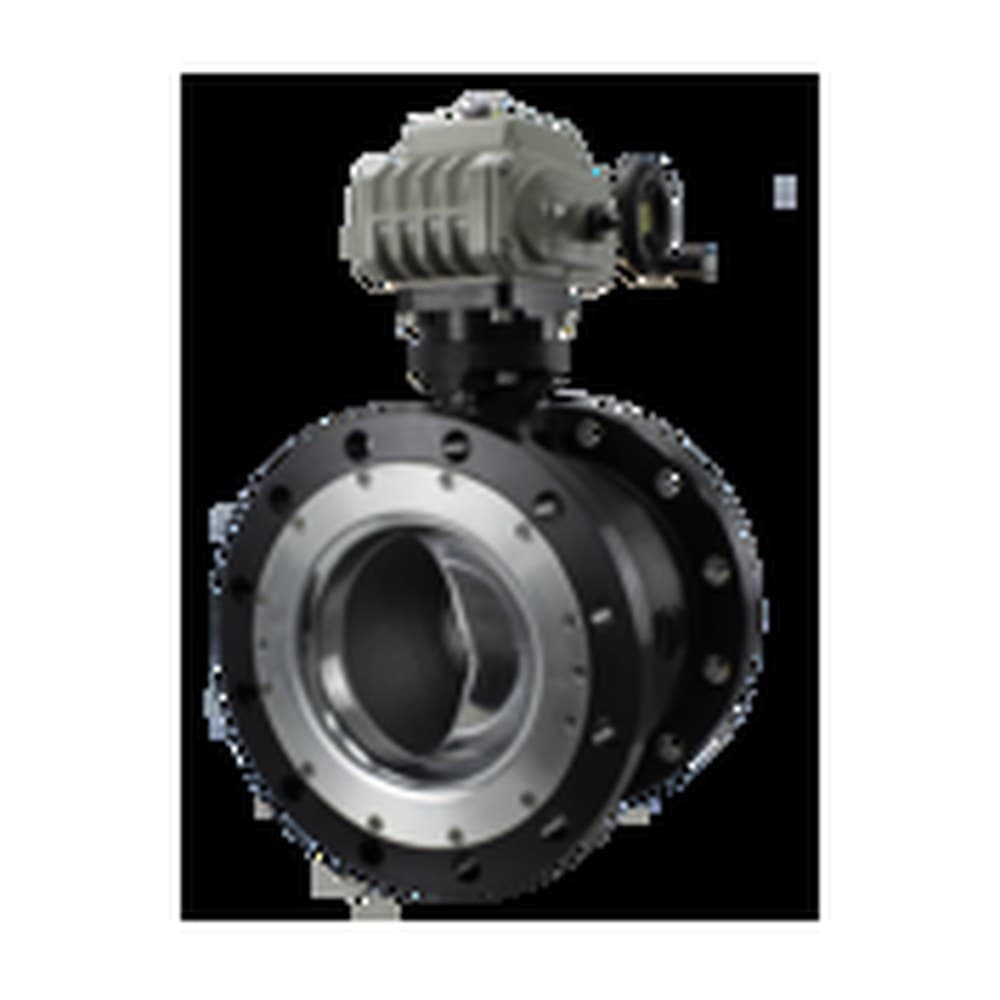Severe Service Control Valve