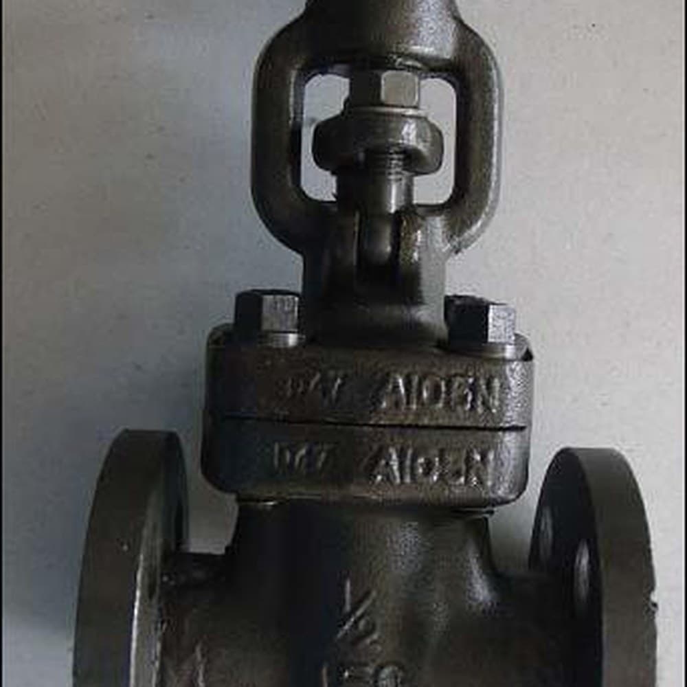 Special / Engineered Valve